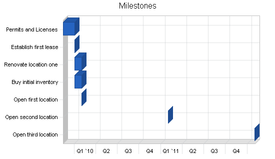 Newsagent - newsstand business plan, strategy and implementation summary chart image