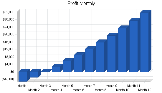 Consulting planning business plan, financial plan chart image