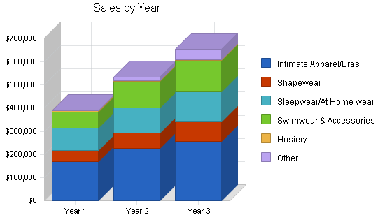 Lingerie retail clothing store business plan, strategy and implementation summary chart image