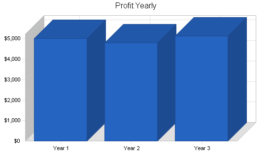 Soho computer consulting business plan, financial plan chart image