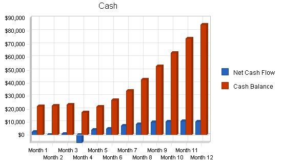 Dry cleaning home delivery business plan, financial plan chart image