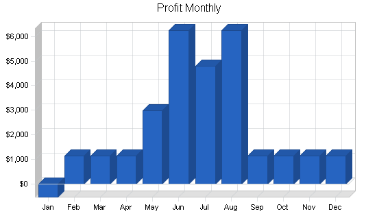 Auditing and consulting business plan, financial plan chart image