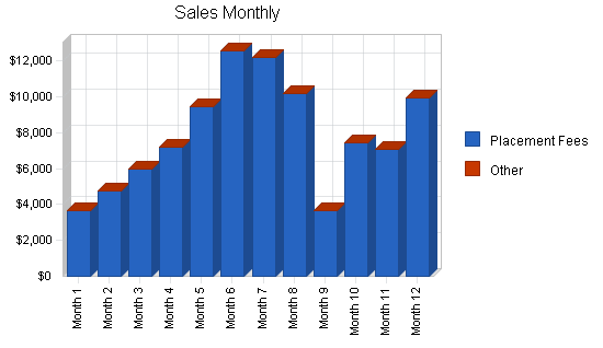 Sbp, employment agency business plan, strategy and implementation summary chart image