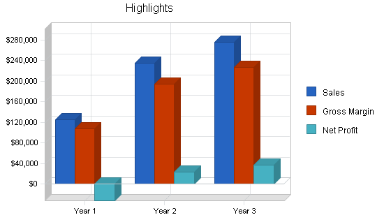 Skate park skiing business plan, executive summary chart image