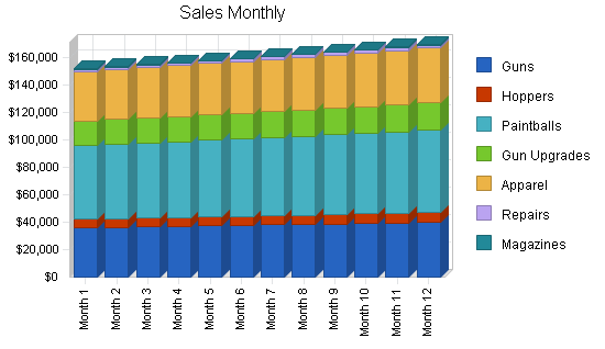 Paintball products retail business plan, strategy and implementation summary chart image