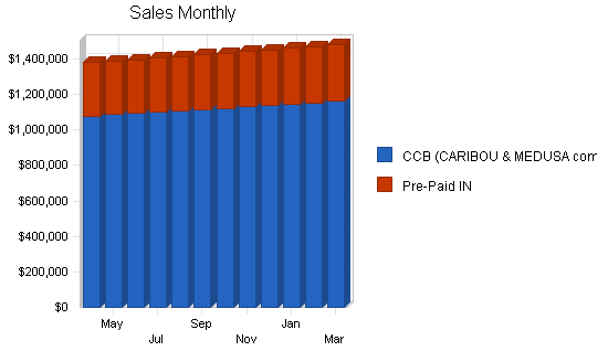 Telecommunications products business plan, strategy and implementation summary chart image