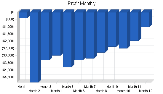 Chiropractic business plan, financial plan chart image