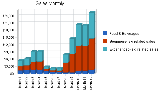 Skate park skiing business plan, strategy and implementation summary chart image