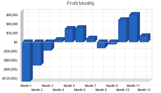 Nightclub resort complex business plan, financial plan chart image