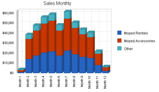 Mopeds rental business plan, strategy and implementation summary chart image