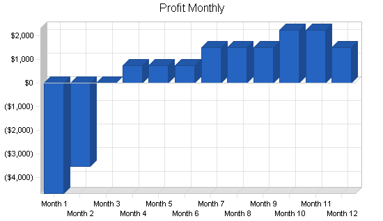 Video production business plan, financial plan chart image