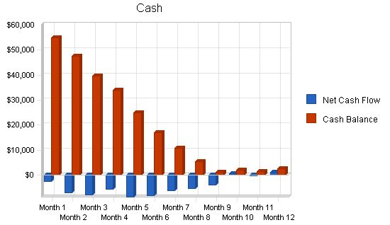 Business support insurance business plan, financial plan chart image