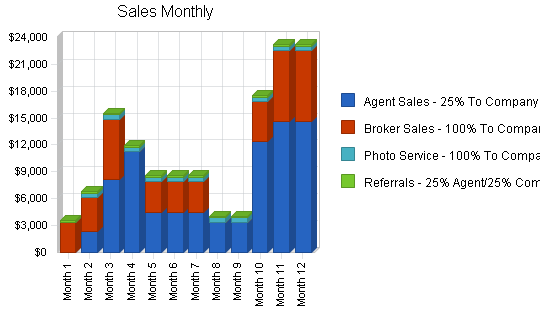 Real estate brokerage business plan, strategy and implementation summary chart image