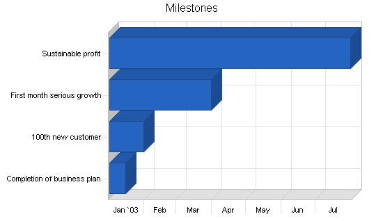 Sports memorabilia business plan, strategy and implementation summary chart image