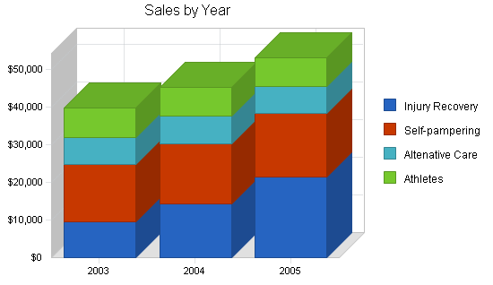 Physical therapy massage business plan, strategy and implementation summary chart image