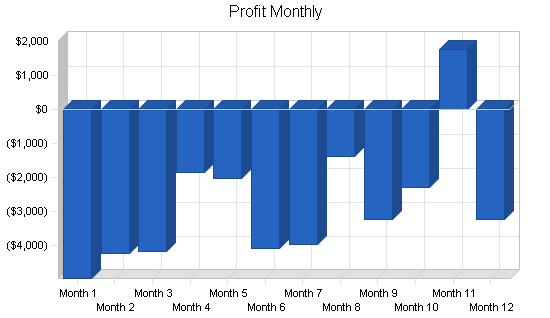 Inline hockey service business plan, financial plan chart image
