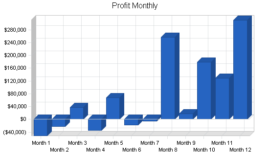 Industry-specific software business plan, financial plan chart image