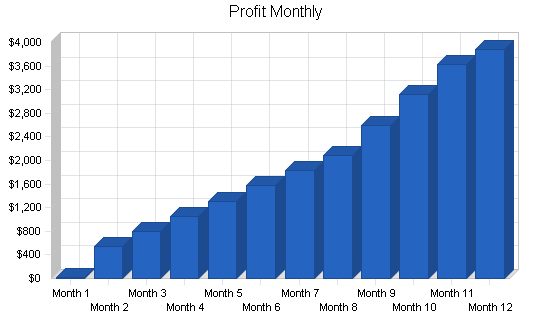 Computer consulting business plan, financial plan chart image