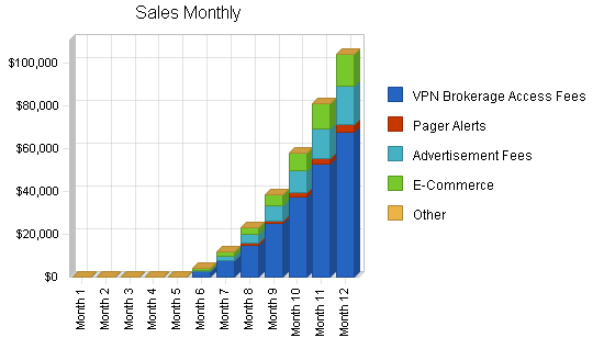 Investment website business plan, strategy and implementation summary chart image