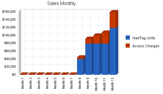 Shipment monitoring business plan, strategy and implementation summary chart image