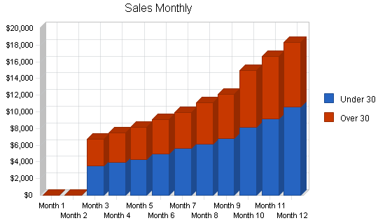 Independent video store business plan, strategy and implementation summary chart image