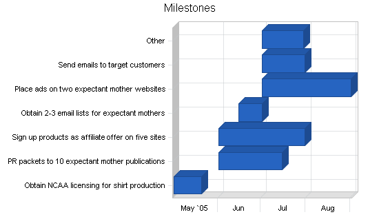 Maternity clothing online business plan, strategy and implementation summary chart image