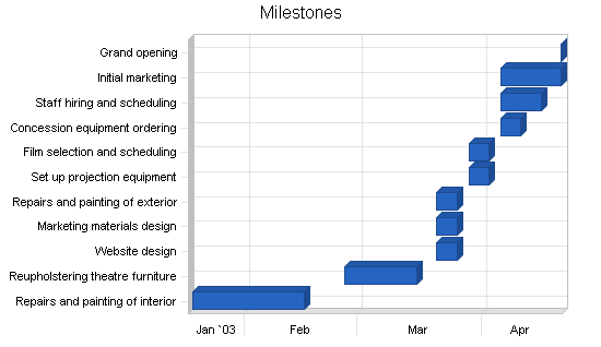 Movie theater business plan, strategy and implementation summary chart image