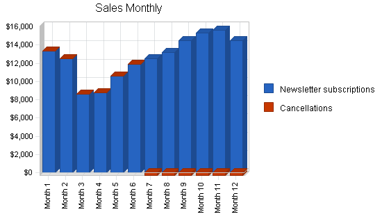 Newsletter publishing business plan, strategy and implementation summary chart image