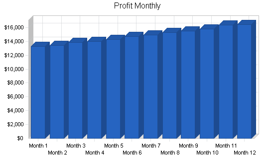 Paintball products retail business plan, financial plan chart image