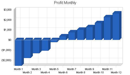 Auto inspectors business plan, financial plan chart image