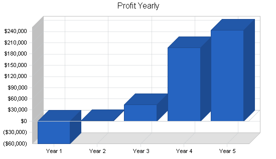 Funeral home business plan, financial plan chart image