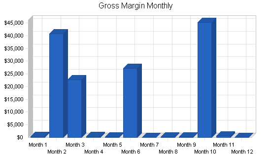 Software sales business plan, financial plan chart image