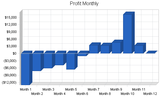 Musical instrument store business plan, financial plan chart image