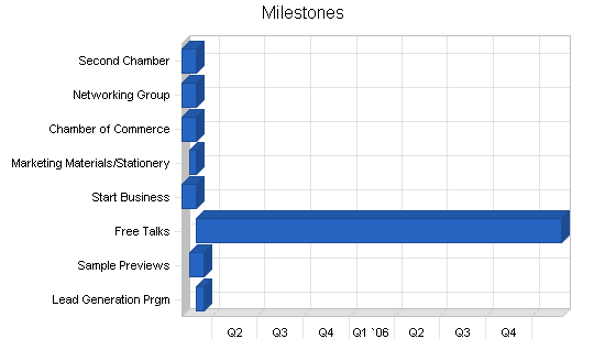 Management consulting business plan, strategy and implementation summary chart image