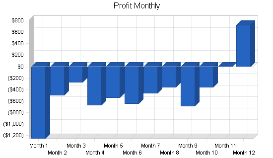 Specialty clothing retail business plan, financial plan chart image