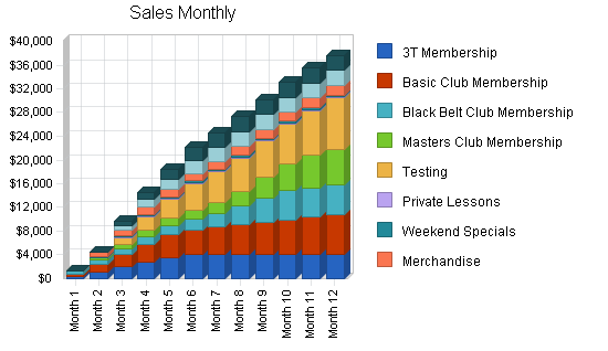 Martial arts school business plan, strategy and implementation summary chart image