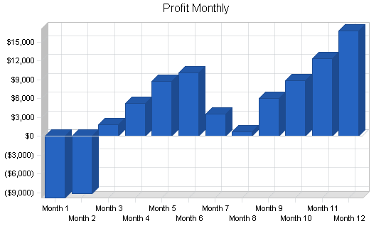 Music retail business plan, financial plan chart image