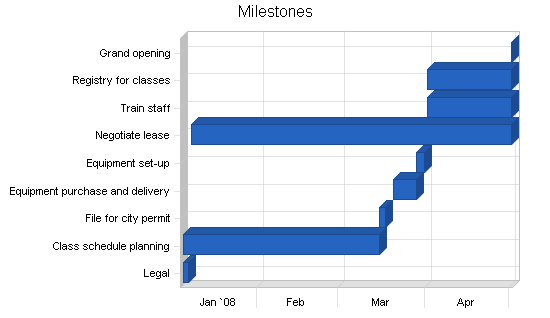 Gymnastics instruction business plan, strategy and implementation summary chart image