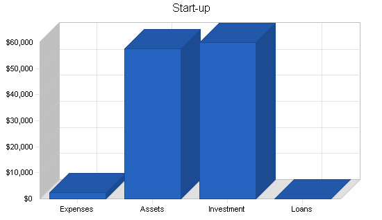 Travel agency business plan, company summary chart image