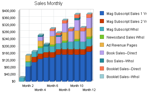 Magazine publisher business plan, strategy and implementation summary chart image