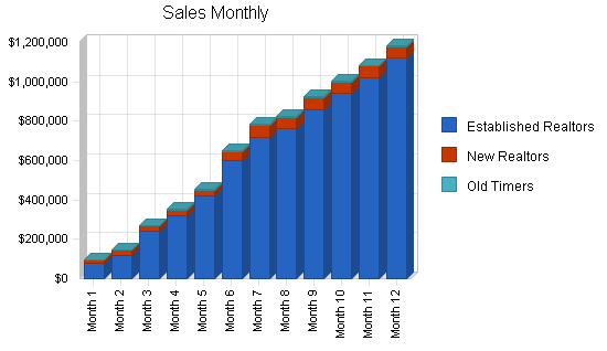 Real estate website business plan, strategy and implementation summary chart image