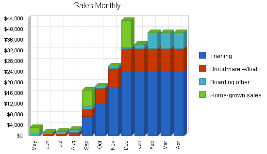 Horse training business plan, strategy and implementation summary chart image