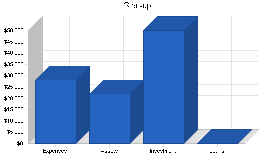 Newsletter publishing business plan, company summary chart image