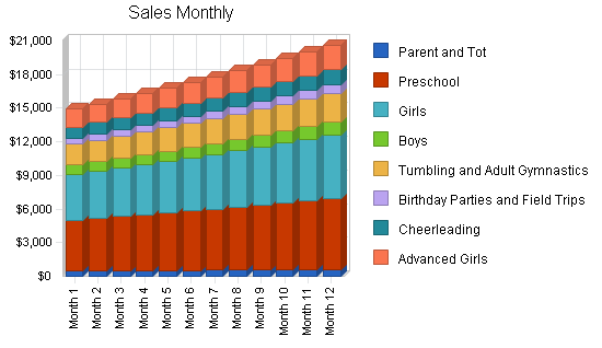 Gymnastics instruction business plan, strategy and implementation summary chart image