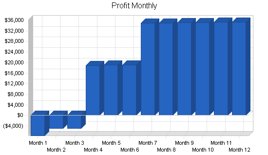 Computer support business plan, financial plan chart image