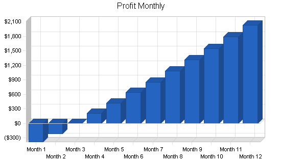 Sports equipment retail business plan, financial plan chart image