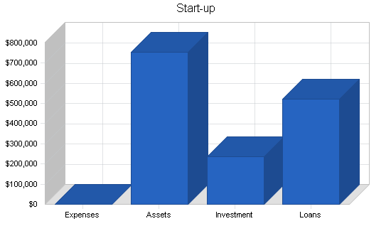 Auto repair and car wash business plan, company summary chart image