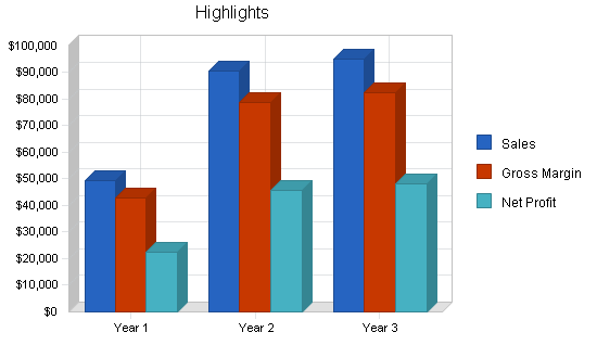 Computer consulting business plan, executive summary chart image