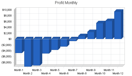 Airport taxi business plan, financial plan chart image