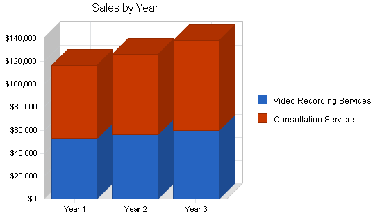 Video documentation service business plan, strategy and implementation summary chart image